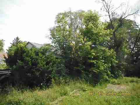 14040 Burt (6)_m.jpg